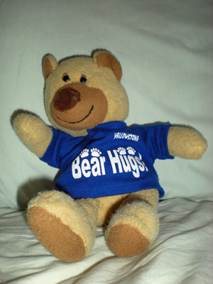 A much loved golden brown teddie bear plushie wearing a blue shirt that says 'Bear Hugs!' on it