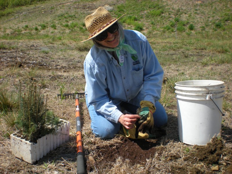 Donna grinning at the camera while holding one of the seedlings