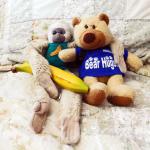 Zi (gibbon monkey plushie wearing a green shirt) holds a banana in one arm and has the other around the shoulders of Honeybun (golden brown teddie bear plushie wearing a blue shirt)